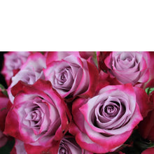 Load image into Gallery viewer, Swank Six - The Blooming Idea