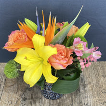 Load image into Gallery viewer, Citrus &amp; Sun
