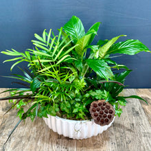 Load image into Gallery viewer, Dish Garden
