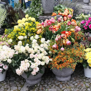 Bucket of Blooms