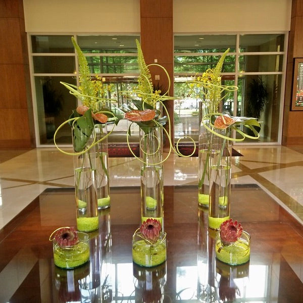 Lobby & Foyer