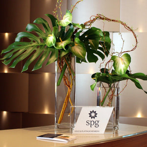 Lobby & Foyer