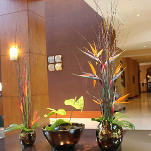 Lobby & Foyer