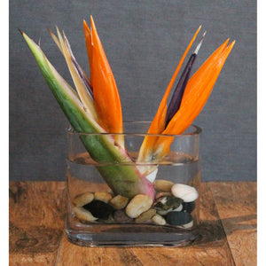 Restaurant & Bar - The Blooming Idea Florst - The Woodlands, Texas