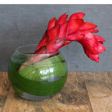 Load image into Gallery viewer, Restaurant &amp; Bar - The Blooming Idea Florst - The Woodlands, Texas
