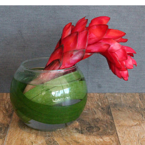 Restaurant & Bar - The Blooming Idea Florst - The Woodlands, Texas
