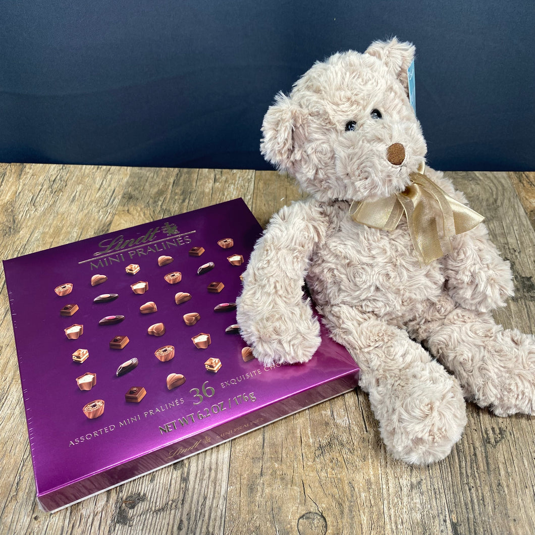 Teddy Bear + Lindt Gourmet Truffles