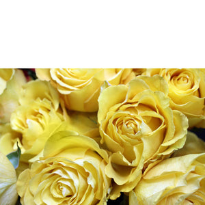 Custom Rose Arrangement - The Blooming Idea Florst - The Woodlands, Texas