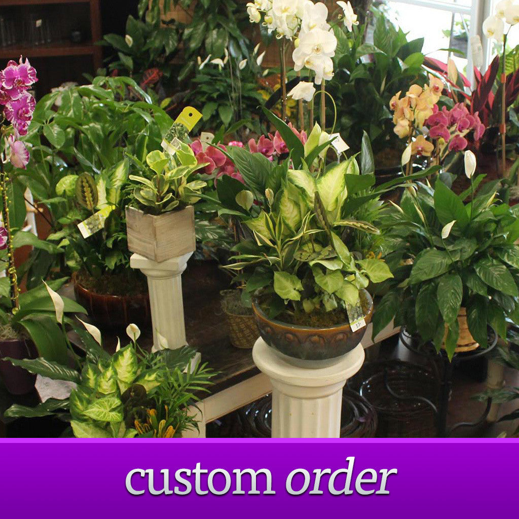Custom Order Plants - The Blooming Idea Florst - The Woodlands, Texas