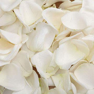 PENGUIN mix: Black + White Artificial Petals | Flower Girl Petal Tossing  (750 petals)