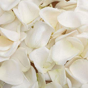 Flower Girl Petals