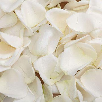 flower pedals Flower Girl Petals – The Blooming Idea